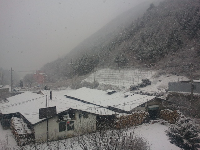 2010-12-13 11.10.55.jpg