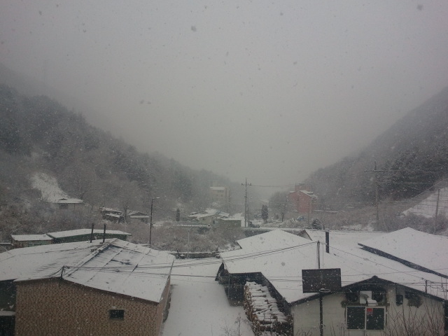 2010-12-13 11.11.06.jpg