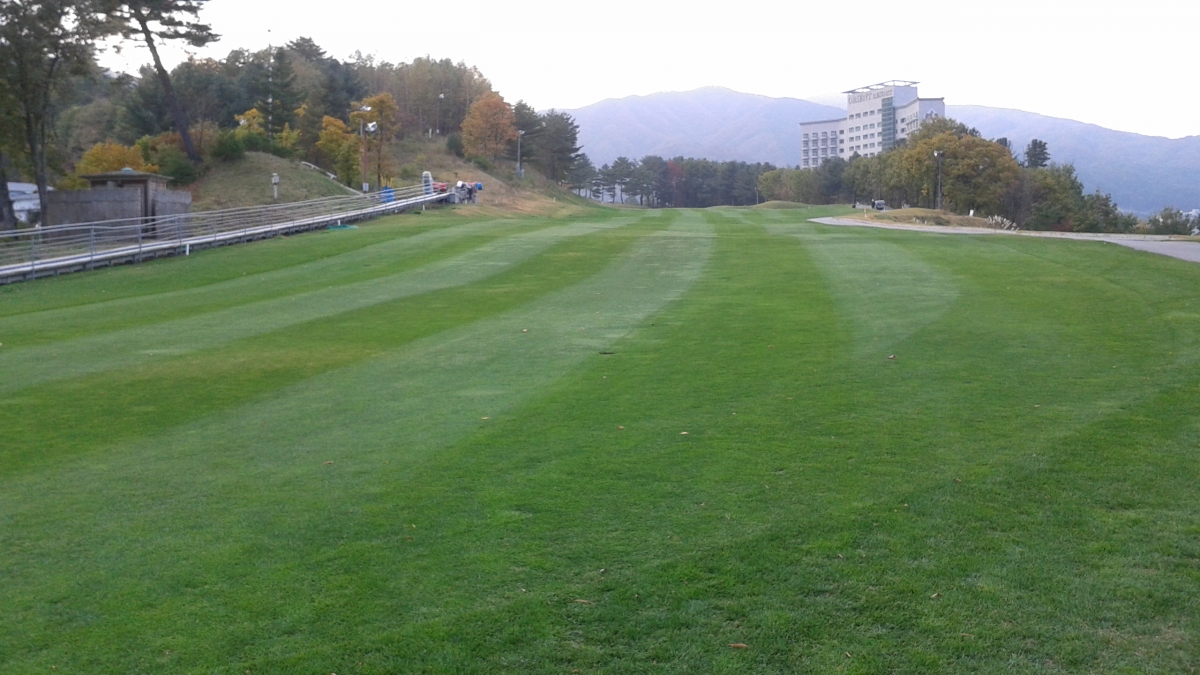 20151013_160632.jpg