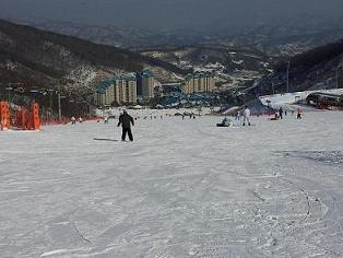 2012-02-02 14.32.26.jpg