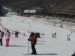 2012-02-02 13.33.17.jpg