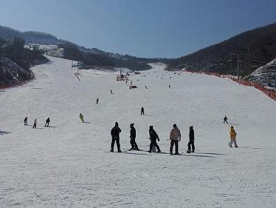 2012-02-02 13.33.11.jpg