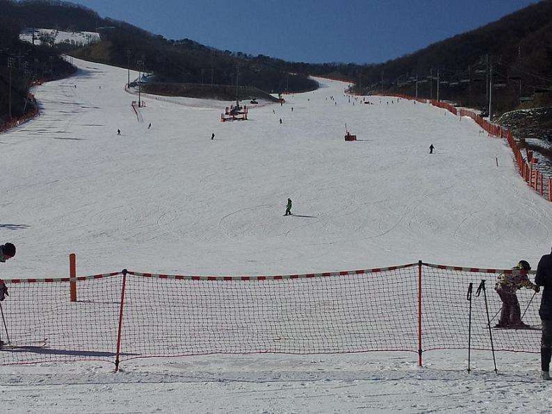 2012-01-23 12.34.31.jpg