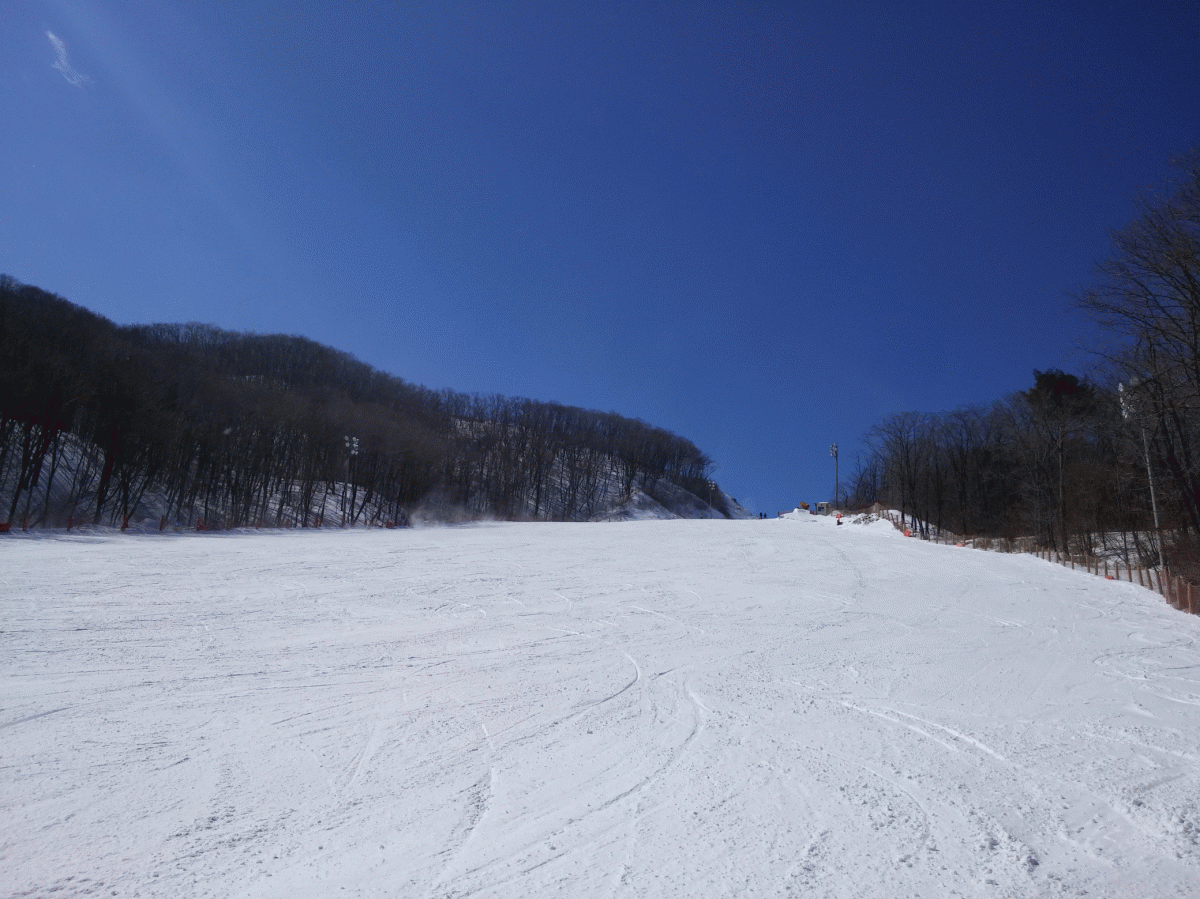 20150304_115212.gif