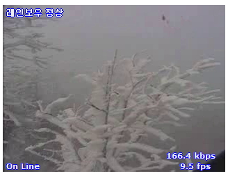 이미지 4.jpg