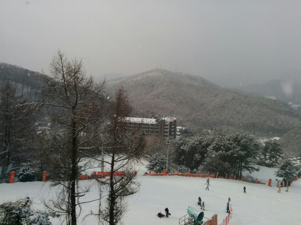 KakaoTalk_20170130_152734161.jpg