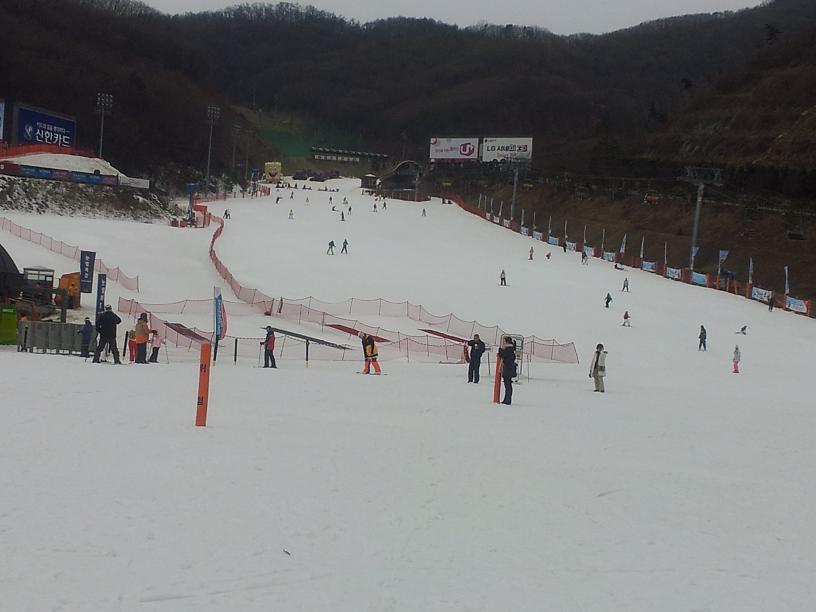 2012-01-20 13.06.15.jpg