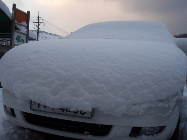201103250012.jpg