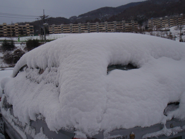 201103250023.jpg
