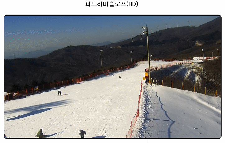 지금.gif