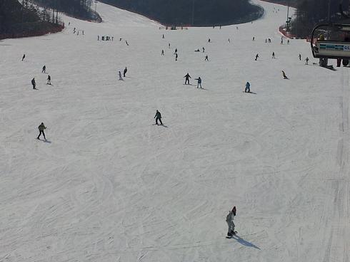 2012-02-20 13.49.19.jpg