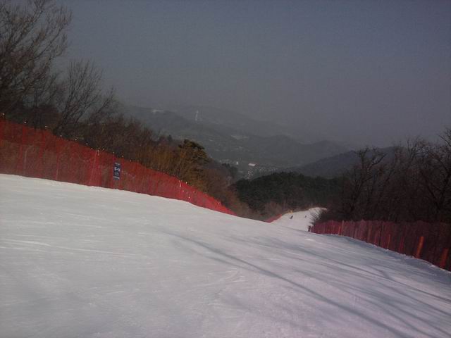 Resize of P190228003.jpg