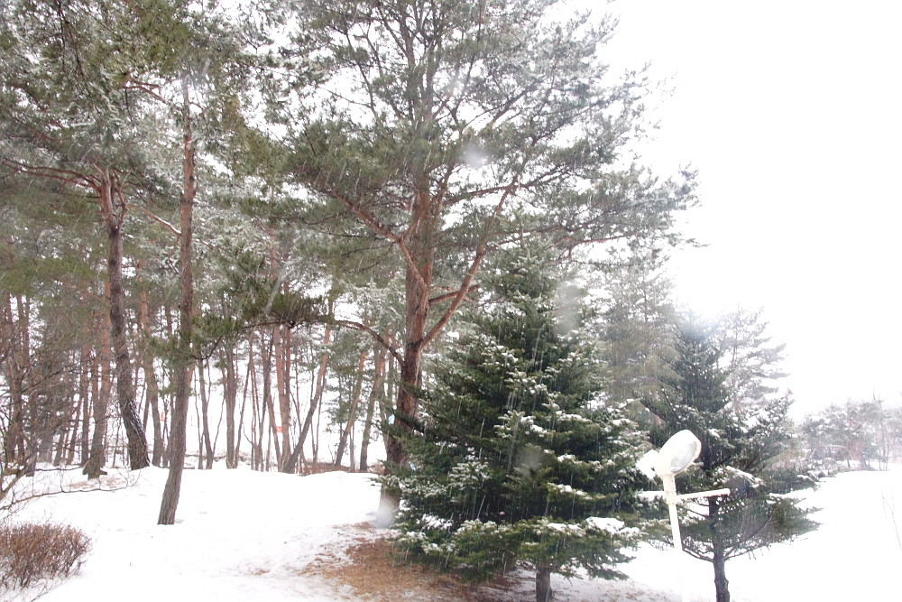 0_DSC00003.JPG