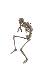 해골_1~1.GIF