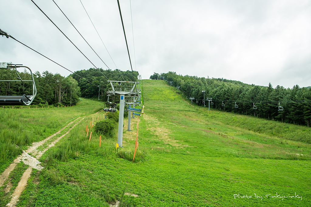 BORA9777 copy.jpg
