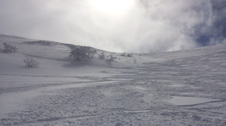 20140323_112432.jpg