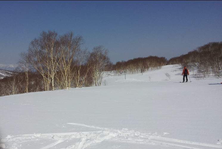 20140324_113348.jpg