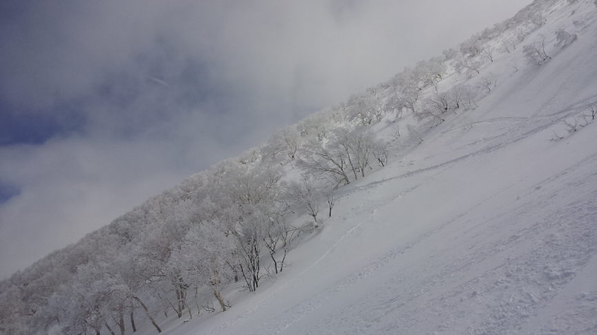 20140323_112449.jpg