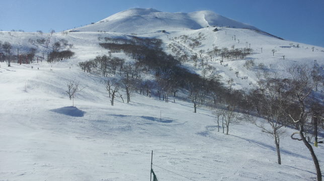 20140323_145523.jpg