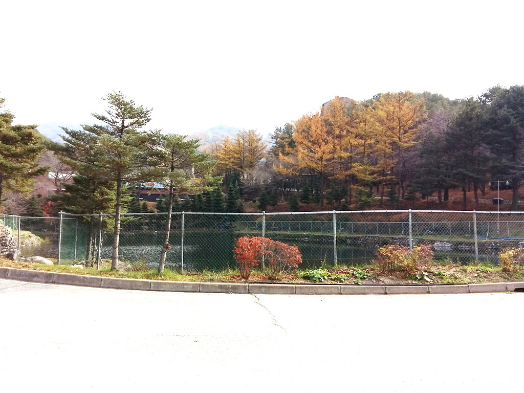 05.jpg