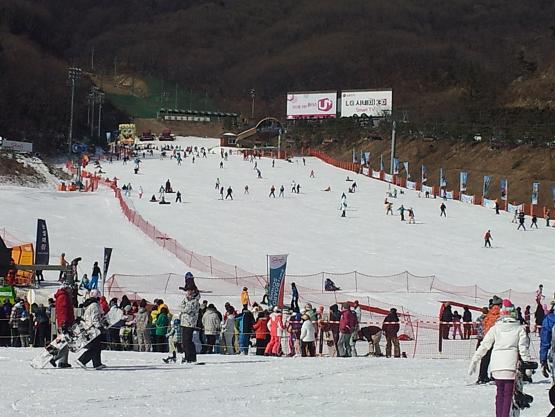 2012-01-28 12.59.44.jpg