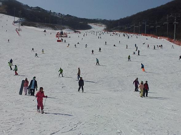 2012-01-28 12.59.38.jpg