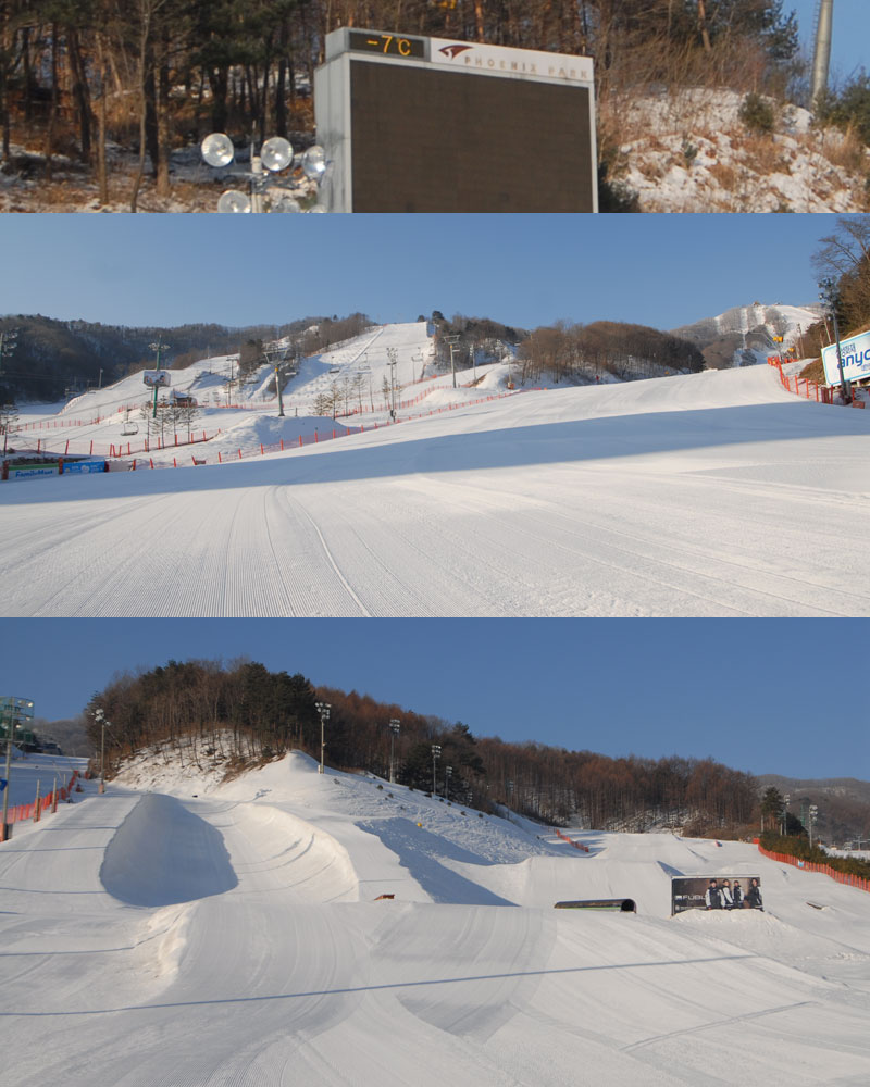 20110310_pp.jpg