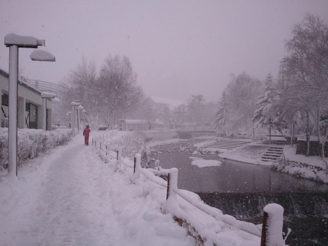 2011-11-30 12.09.35.jpg