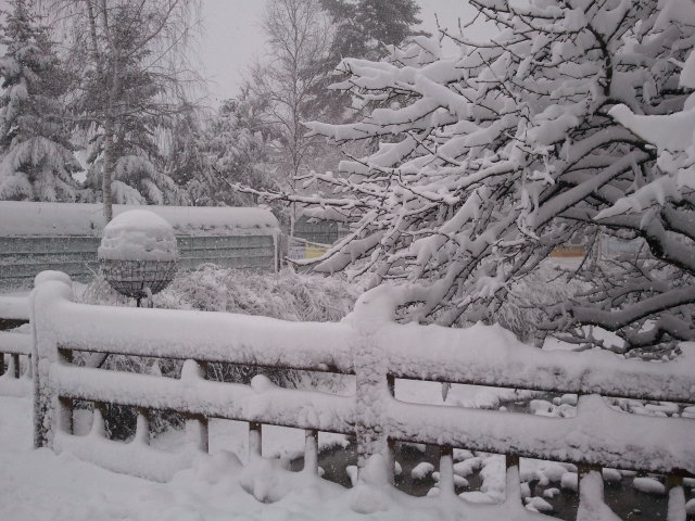 2011-11-30 12.06.57.jpg