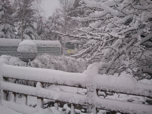 2011-11-30 12.06.48.jpg