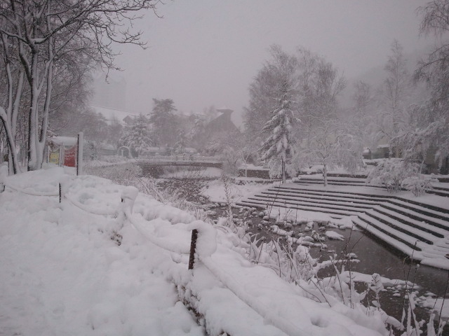 2011-11-30 12.30.44.jpg