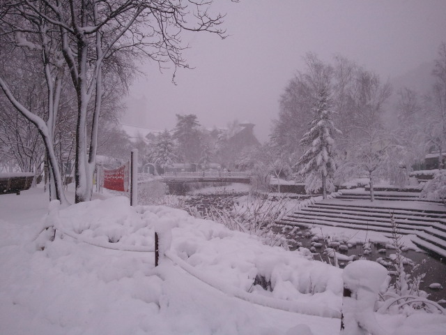 2011-11-30 12.30.51.jpg