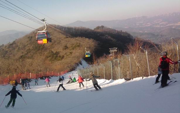 Resize of P190217004.jpg