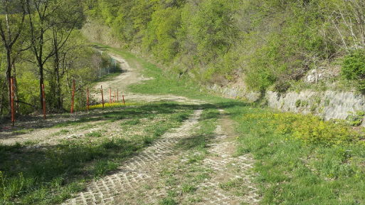 20140511_080519.jpg