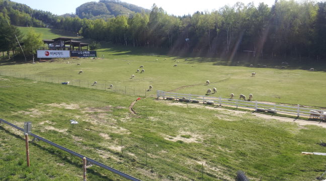 20140510_155207.jpg