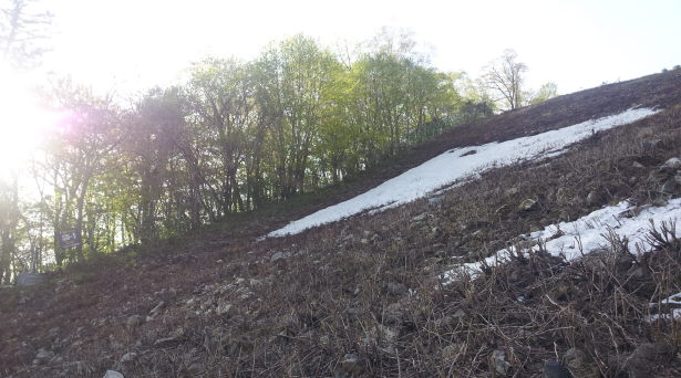 20140511_070844.jpg