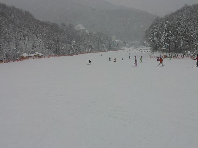 2013-01-23 12.08.32.jpg