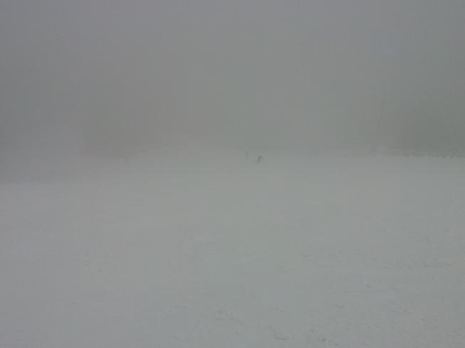 2013-01-23 15.26.01.jpg