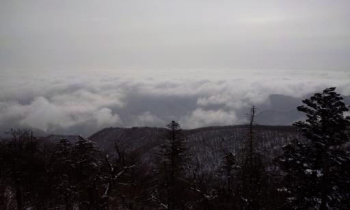 크기변환_2011-03-21 09.08.24.jpg
