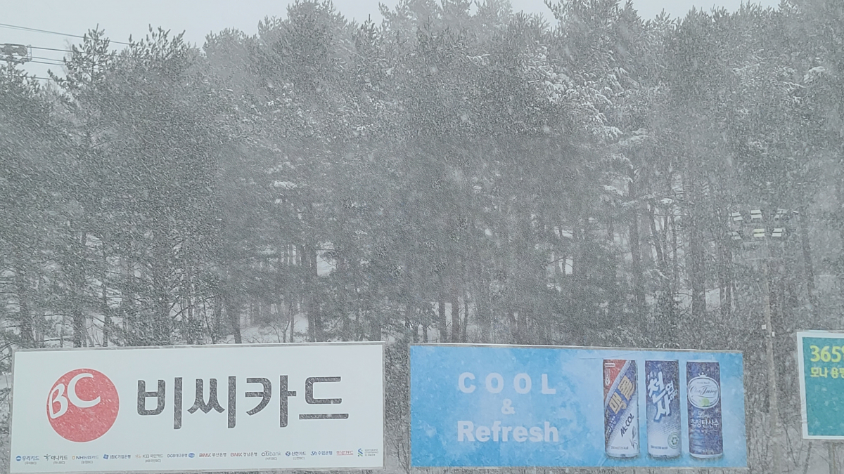 KakaoTalk_20250304_174809018.jpg