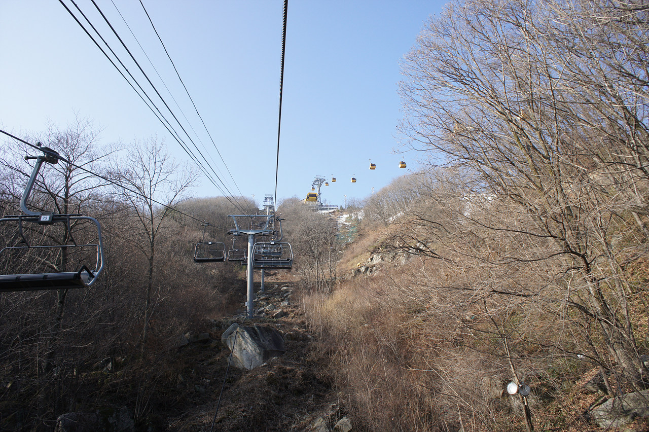 DSC07002.jpg