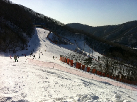 110109_blue_green.jpg