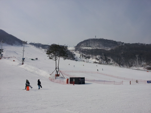 크기변환_20130209_114317.jpg