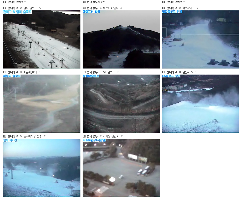 피클 만들준비중.jpg