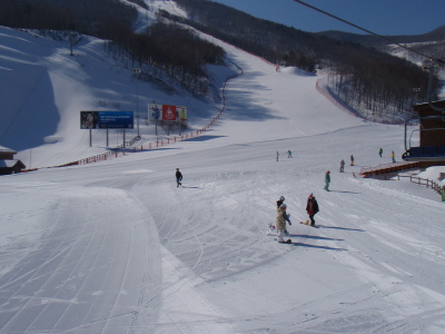 201103260005.jpg