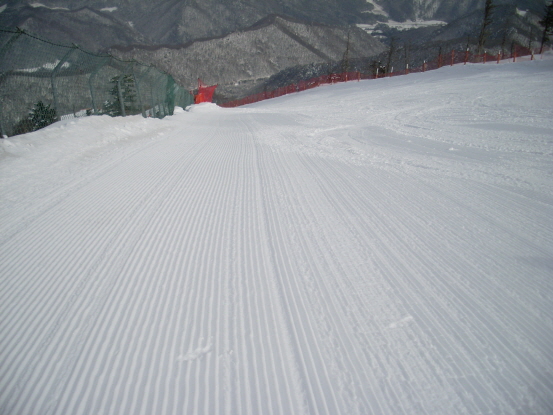 b_SL374461.JPG