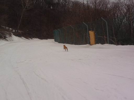 Resize of P190320020.jpg