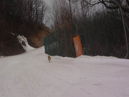 Resize of P190320021.jpg