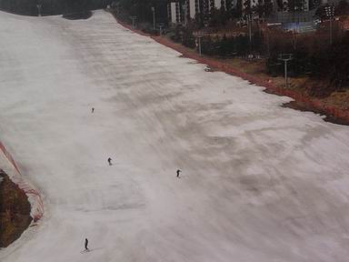 Resize of P190320004.jpg