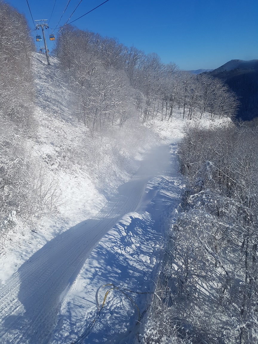 20161228_091748.jpg